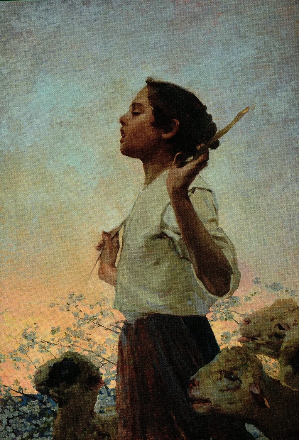 Pastorella